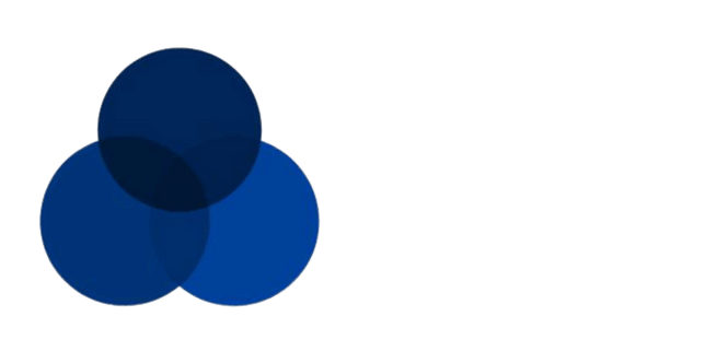 Senzi